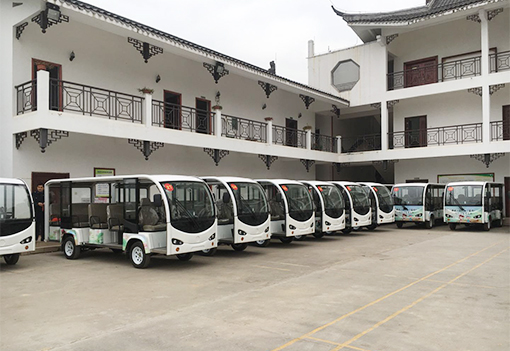 广西贵港14座电动观光车